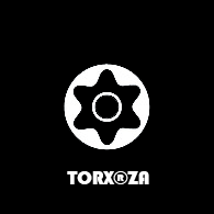 torx za bits / puntas torx za